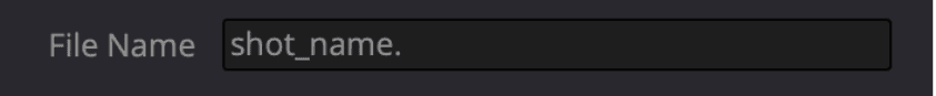 The File Name field on the DaVinci Resolve Deliver page, containing shot_name followed by a full stop.