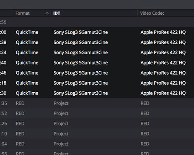 A DaVinci Resolve Media Pool list sorted by Format. QuickTime clips are grouped together with an IDT of Sony SLog3 SGamut3Cine and a codec of Apple ProRes 422 HQ; RED clips are grouped below with their IDT left at Project.